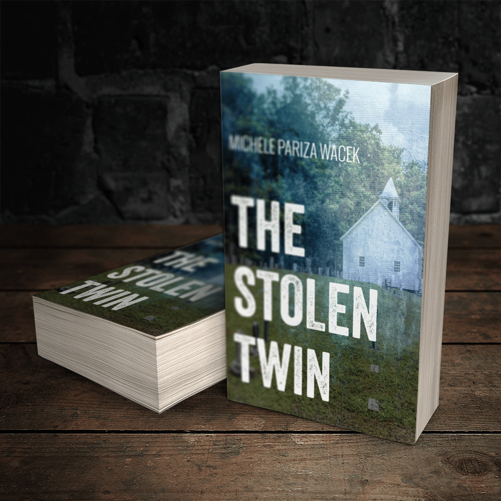 The Stolen Twin Chapter 1